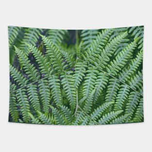 Ferns Tapestry