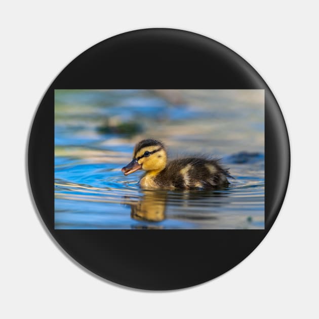 Young Duck Pin by gdb2