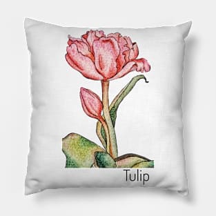 Pink tulip watercolors Pillow