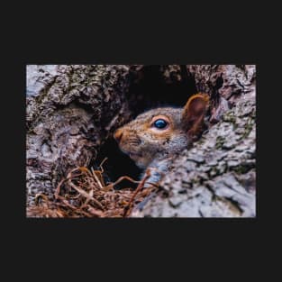 Squirrel At Home Photograph T-Shirt