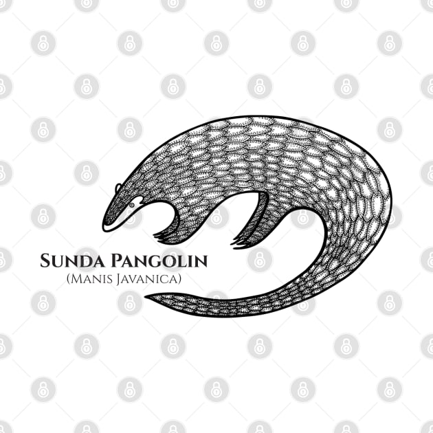 Pangolin with Common and Latin Names - detailed animal drawing by Green Paladin