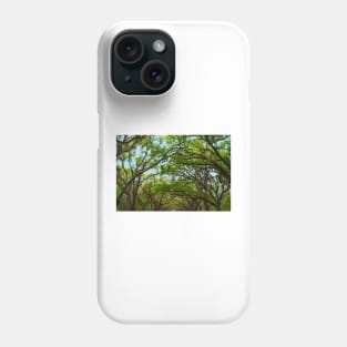 The Wormsloe Live Oaks, Savannah Phone Case