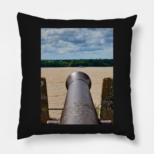 Take aim... Pillow by mbangert