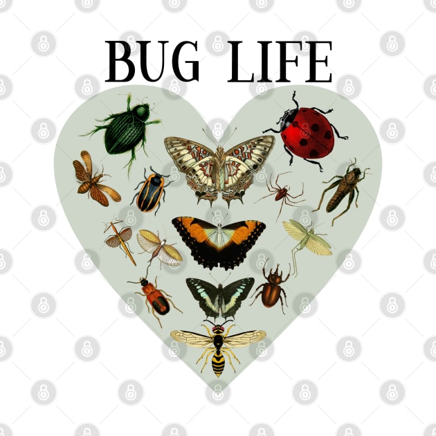 Entomology / Bug Lover /Entomologists / Bug Life by All Thumbs