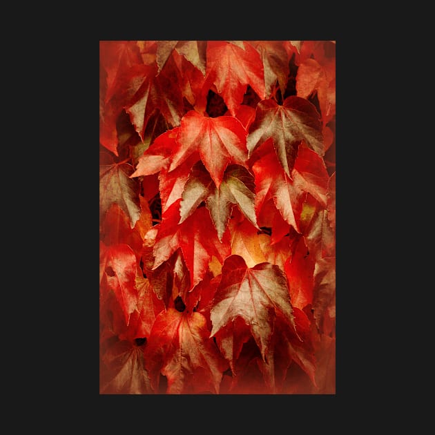 Autumn Splendour by AlexaZari