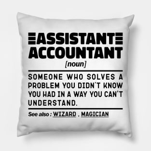 Funny Assistant Accountant Noun Sarcstic Sayings Assistant Accountant Humor Quotes Cool Pillow