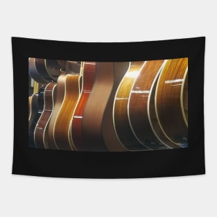 Acoustic Guitar Assortment 1 Tapestry