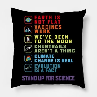 Earth Is Not Flat T-Shirt Stand Up For Science Teacher Pillow