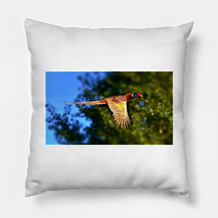 Green pheasant Pillow