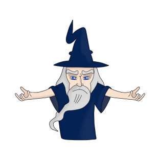 Sorcerer with the beard and white hair T-Shirt