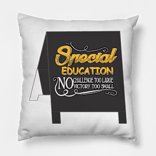 special education Pillow