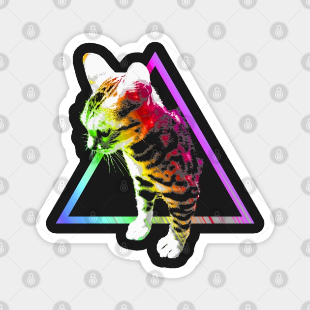 Rainbow Triangle Cat Magnet by robotface