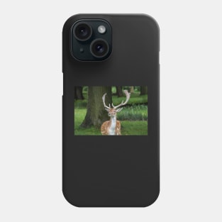 Fallow Deer Phone Case