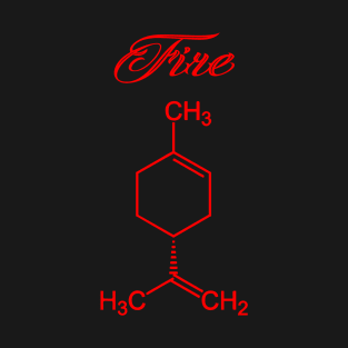 Fire  Formula T-Shirt