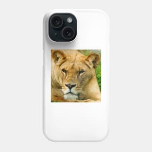 kli lioness Phone Case