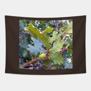 Acorn Tapestry