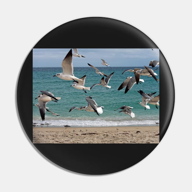 Birds in Flight Over Beach Pin by jillnightingale