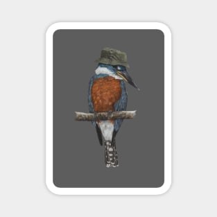 Ringed kingfisher Magnet