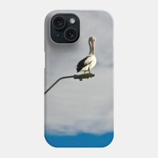 Pelican preening on a Streetlight! Phone Case