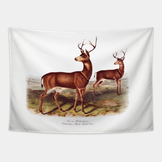 Columbian Black-Tailed Deer Tapestry by RockettGraph1cs