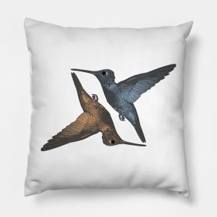 Humming Birds blue orangge Pillow