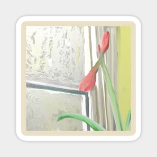 Budding Amaryllis By Winter Window Magnet