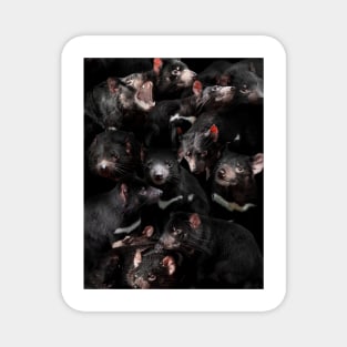 Tasmanian Devils Magnet