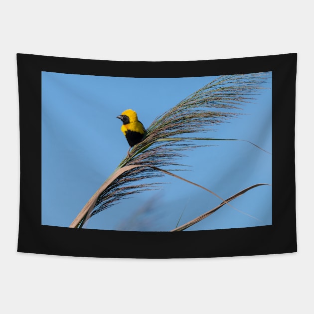 Golden Bishop bird Tapestry by homydesign