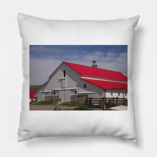 52617 barn Pillow