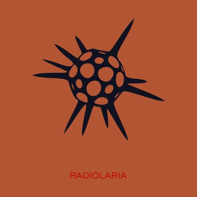 Radiolaria by masha