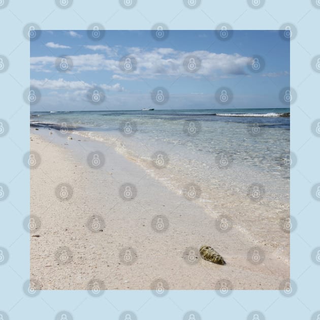 Isla Saona Seashell on Caribbean Beach by Christine aka stine1