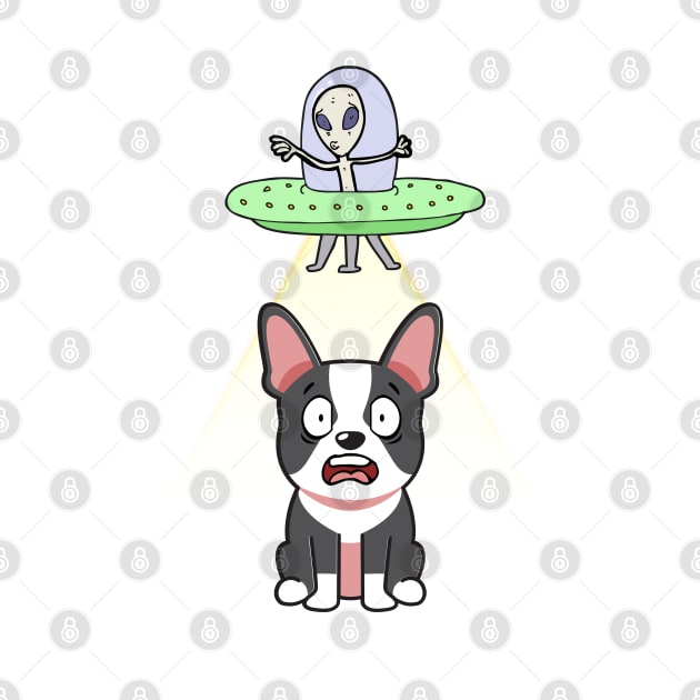 Funny french bulldog is being abducted by aliens by Pet Station