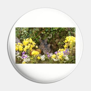 pair of wild mice spring flowers Pin