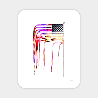 Amerflag Magnet