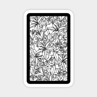 Stargazer Lily Flowers Line Drawing Black and White Magnet