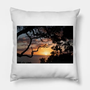 Sunrise over coast framed by silhouette foliage of pohutukawa tree on edge of slope. Pillow