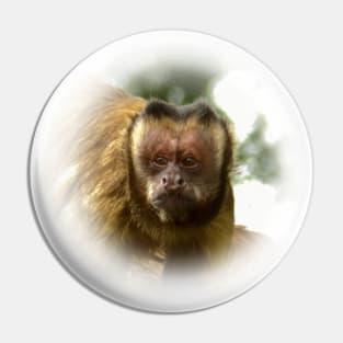 Tufted capuchin Pin