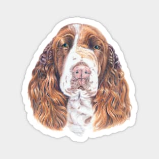 English springer spaniel Magnet