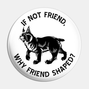 If not friend, why friend shaped? Pin