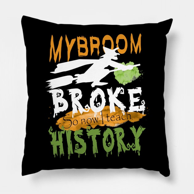 My broom broke so now I teach history.. Pillow by DODG99