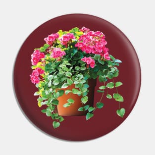 Pot of Pink Geraniums Pin