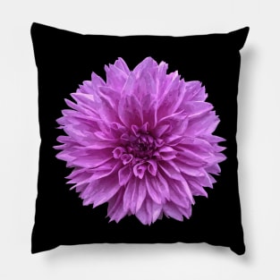 Pretty purple Dahlia Botanical Bee Flower Annual Pillow