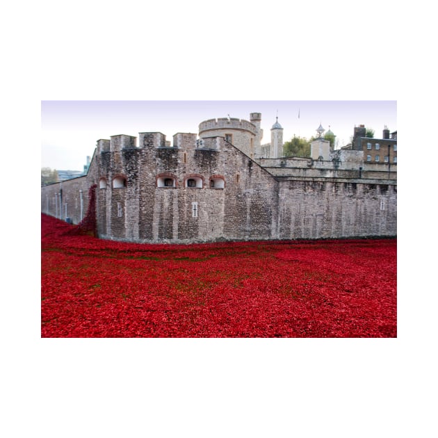 Tower of London Red Poppies by AndyEvansPhotos