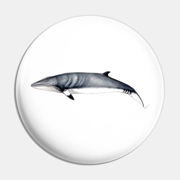 Minke whale Pin by chloeyzoard