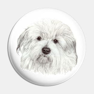 Coton de tulear Pin