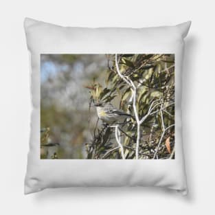 Yellow-rumped, myrtle, warbler, wild birds, wildlife gifts Pillow