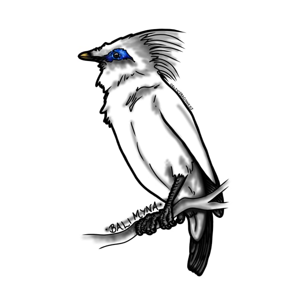 Bali Myna SING FOR SONGBIRDS by CelticDragoness