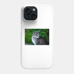 Bethesda cat Phone Case