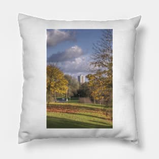 Autumn in the Pinnacles Pillow