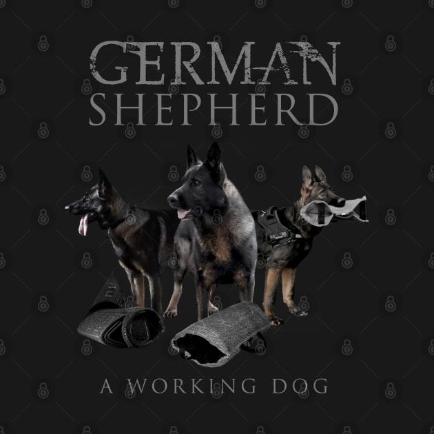 German Shepherd Dog - GSD by Nartissima